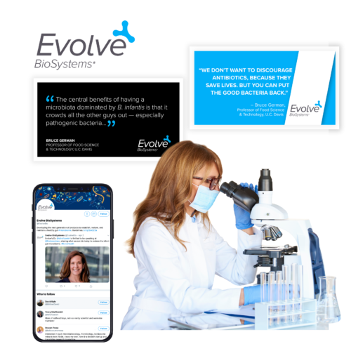 Evolve Creative for E29 Website