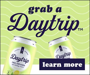 DayTrip Creative Ad 2